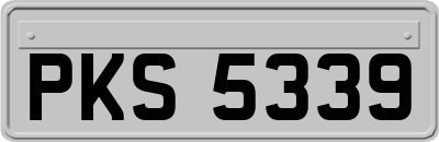 PKS5339