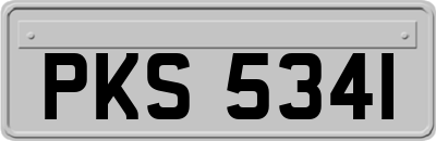 PKS5341