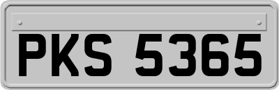 PKS5365