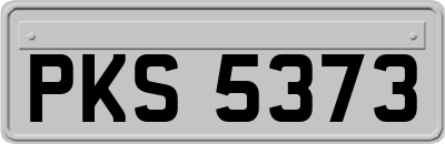 PKS5373
