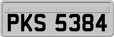 PKS5384