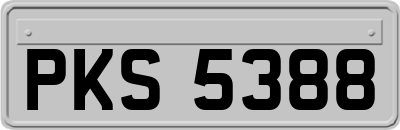 PKS5388