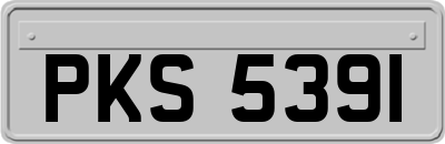 PKS5391