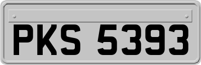 PKS5393