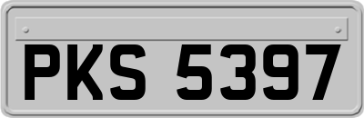 PKS5397