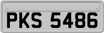 PKS5486