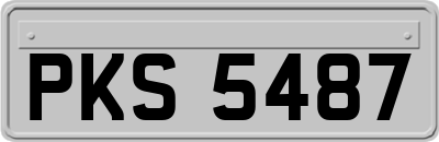 PKS5487