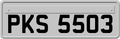 PKS5503