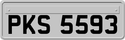 PKS5593