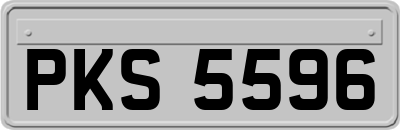 PKS5596