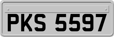 PKS5597