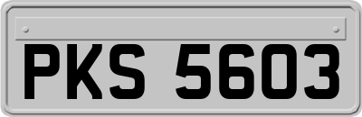 PKS5603