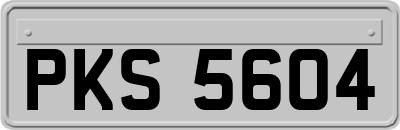 PKS5604