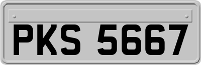 PKS5667
