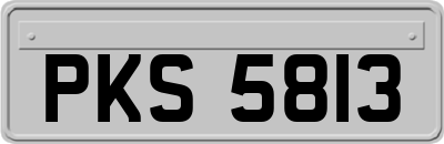 PKS5813