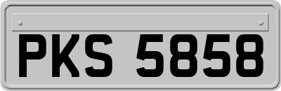 PKS5858
