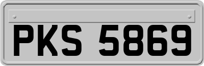 PKS5869