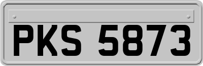 PKS5873