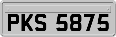PKS5875