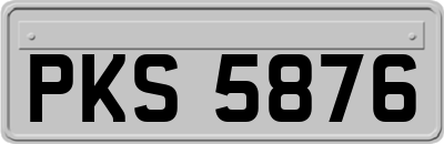 PKS5876