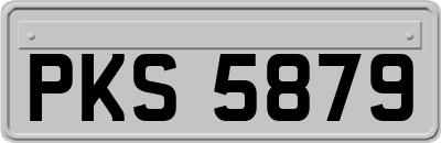 PKS5879