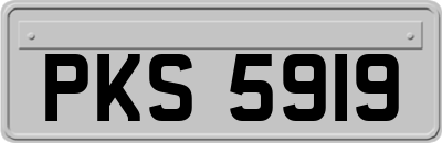 PKS5919