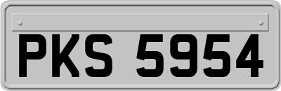 PKS5954