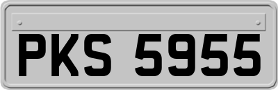 PKS5955