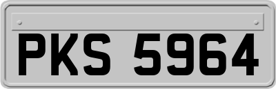 PKS5964