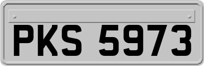 PKS5973