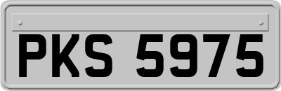 PKS5975