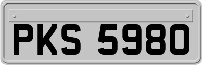 PKS5980