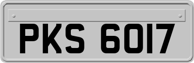 PKS6017