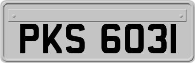 PKS6031