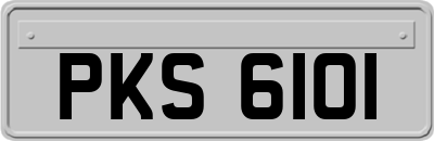 PKS6101