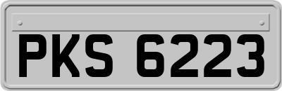 PKS6223