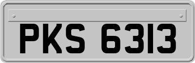 PKS6313