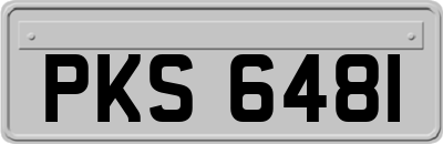 PKS6481