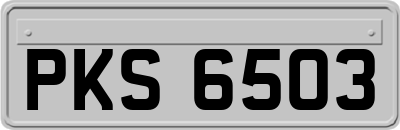 PKS6503