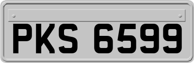 PKS6599
