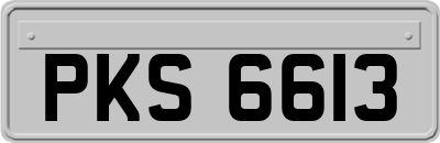 PKS6613