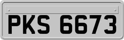 PKS6673