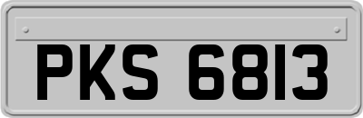 PKS6813