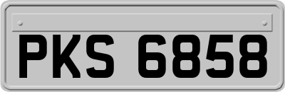 PKS6858