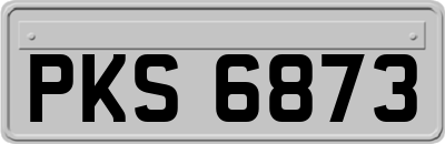 PKS6873