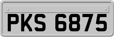 PKS6875