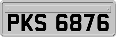 PKS6876
