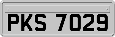 PKS7029