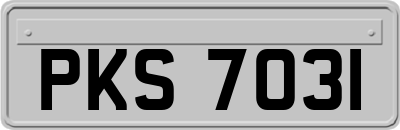 PKS7031