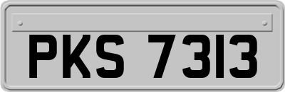 PKS7313